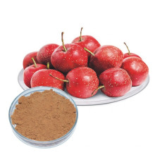 Wholesale Organic Hawthorn Extract Hawthorn Berry Extract Powder